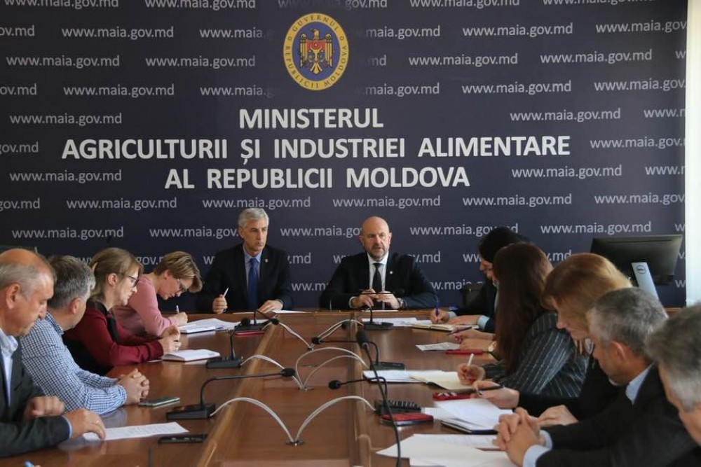 La MAIA a fost organizată o ședință de lucru, cu participarea reprezentanților sectorului avicol
